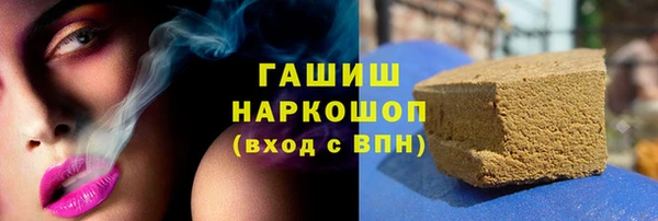 ECSTASY Богданович