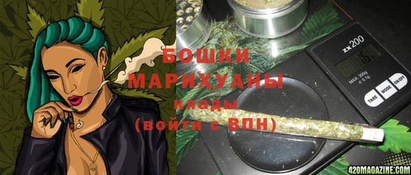 стаф Богородицк