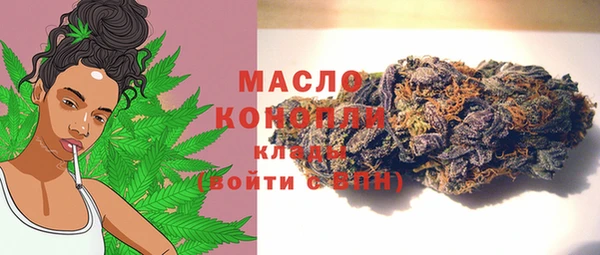 ECSTASY Богданович