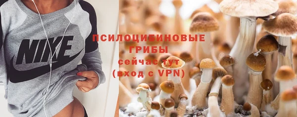 ECSTASY Богданович