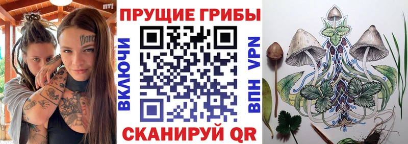 Псилоцибиновые грибы Cubensis  купить наркоту  Кимовск 